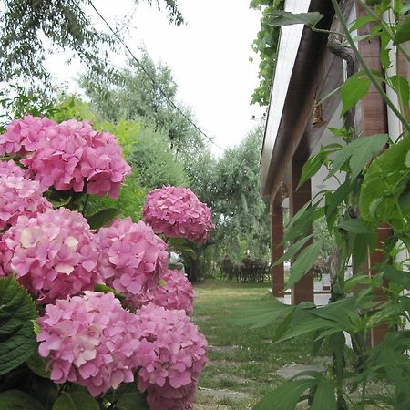 Uysallar Koy Evi Gokceada Ngoại thất bức ảnh